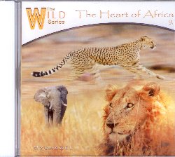 WYCHAZEL :  THE HEART OF AFRICA  (MG MUSIC)

Wychazel, alias dietro cui si nasconde il musicista Chris Green,  un noto compositore di musiche per il benessere, apprezzato anche per i suoi album dedicati alle sonorit primordiali dei tamburi sciamanici e delle ciotole tibetane, fra i best seller di casa Mg. Il suo nuovo album The Heart of Africa  un invito a liberare la mente e rilassarsi, lasciando che i ritmi ipnotici dei tamburi, i canti tribali e le melodie evocative ci trasportino nel cuore pulsante dell'Africa. Con una strumentazione che comprende diversi tipi di percussioni, marimba, mbira, flauto di legno e sintetizzatore, Wychazel ha creato ritmi ammalianti che si fondono con delicati suoni della natura e suggestivi canti. The Heart of Africa  un accattivante viaggio sonoro, ma anche un ideale sottofondo per la visualizzazione e per il rilassamento.