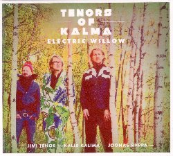 TENORS OF KALMA :  ELECTRIC WILLOW  (YELLOWBIRD)

Il polistrumentista Jimi Tenor e il chitarrista Kalle Kalima hanno suonato insieme per circa 10 anni e ora si ritrovano in un nuovo progetto in trio con Joonas Riippa alla batteria. Il gruppo, chiamato Tenors of Kalma, unisce il jazz con la pop music elettronica, riuscendo a sintetizzare le esperienze di questi tre straordinari musicisti. Jimi Tenor non ha mai recitato il ruolo del tradizionale artista pop ed  conosciuto come un compositore e un musicista il cui lavoro va al di l delle tendenze attuali anche se ha scritto grandi successi come Take me baby. Kalle Kalima  l'ambasciatore del jazz finlandese e della musica d'avanguardia a Berlino. Mescola elementi di jazz e rock in modo unico. Ha suonato con Jazzanova, Jason Moran, Jim Black, Greg Cohen, Anthony Braxton, Tony Allen, Wadada Leo Smith, Michael Wertmuller e Marc Ducret. Kalima  conosciuto anche per alcuni suoi progetti di successo: Klima Kalima (vincitore del New German Jazz Prize 2008) e la sua performance solista Pentasonic. Ha tra l'altro vinto il 'Grammy' finlandese per il miglior album jazz con il gruppo K-18 nel 2013. Joonas Riippa  uno dei batteristi pi importanti della Finlandia e attualmente collabora con numerosi musicisti come Mikko Innanen, Verneri Pohjola, Teemu Viinikainen, Seppo Kantonen e Joonatan Rautio.