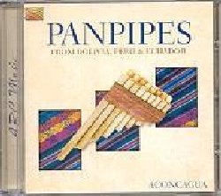 ACONCAGUA :  PANPIPES FROM BOLIVIA, PERU & ECUADOR  (ARC)

low-price - Panpipes from Bolivia, Peru & Ecuador presenta una ricca variet di canzoni e melodie provenienti dagli stati sudamericani di Bolivia, Per ed Ecuador, dove il flauto di pan  uno strumento molto diffuso e molto amato. Questo flauto antichissimo, in uso gi nell'antica Grecia, prende il nome da Pan, divinit dei boschi e delle montagne. Secondo una leggenda infatti la ninfa Siringa si trasform in un cespuglio di canne nel tentativo di sfuggire al dio Pan che, per consolarsi, tagli alcune canne e cominci a suonarle. Le magiche sonorit del flauto andino con i loro ritmi dolci e spensierati creano melodie assolutamente coinvolgenti che ci trasportano sulla Cordigliera sotto l'accecante sole che riscalda l'America latina e tra i colori sgargianti dei tessuti tradizionali, facendoci respirare l'aria cristallina di questi magici luoghi. Panpipes from Bolivia, Peru & Ecuador  l'album ideale per chi ha voglia di immergersi nella cultura, musica e storia di popoli antichi la cui ricchezza non finisce mai di stupire. 