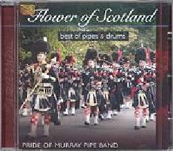 PRIDE OF MURRAY PIPE BAND :  FLOWER OF SCOTLAND - BEST OF PIPES & DRUMS  (ARC)

mid-price - La Pride of Murray Pipe Band  nata a Londra nel 1952 ed  composta in gran parte da ex militari ritornati alla vita civile. Il gruppo prende il nome dal suo membro fondatore, l'ufficiale pilota Murray: questa formazione musicale  la sua creazione e dunque il suo orgoglio (pride). La Pride of Murray Pipe Band consiste in due bande di cornamuse ed una scuola per giovani suonatori di cornamusa e percussionisti. Al fine di mantenere un alto livello di preparazione dei musicisti il gruppo partecipa spesso a concorsi e gare oltre che a programmi televisivi e radiofonici, ottenendo grandi consensi da parte del pubblico. Degni rappresentanti della tradizione del proprio paese i musicisti indossano due caratteristiche divise: un vestito completo con i tipici berretti scozzesi di piume basati sugli abiti originali della banda del reggimento ed un altro pi semplice che viene usato durante occasioni meno formali. Il tartan (un particolare disegno dei tessuti in lana della regione di Hifhland con cui si fanno i kilt),  quello del duca di Atholl, il vicepresidente onorario di questa formazione, mentre l'emblema sul cappello riprende l'insegna nobiliare della famiglia del duca. Flower of Scotland - Best of Pipes & Drums propone i ritmi trascinanti della cornamusa e delle percussioni scozzesi: classici come The Skye Boat Song, Highland Cathedral e Stop Yer Ticklin' Jock trasporteranno l'ascoltare nelle magiche atmosfere della antica terra di Caledonia.