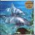Various :  Dolphin 1 (cd Card)  (Paradise)