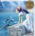 Various :  Dolphin 2 (cd Card)  (Paradise)