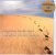 Llewellyn :  Footprints In The Sand 1 - One Night I Had A Dream... (cd Card)  (Paradise)