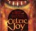 Ni Riain Noirin :  Celtic Joy - A Celebration Of Christmas  (Sounds True)