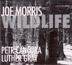 MORRIS JOE / CANCURA PETR / GRAY LUTHER :  WILDLIFE  (AUM FIDELITY)

