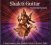 Mcnamara Stevin :  Shakti Guitar - A Yogic Journey From Radiant Dawn To Deepest Night  (White Swan)