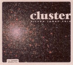 JORAY SILVAN :  CLUSTER  (NEUKLANG)

Cluster  il primo album da leader del chitarrista e compositore svizzero Silvan Joray. Il disco  stato registrato nei famosi studi Bauer di Ludwigsburg, in Germania, il 12 e 13 aprile del 2019 da Philipp Heck sotto la direzione artistica dello storico mentore di Joray, Wolfgang Muthspiel e successivamente mixato da Daniel Dettwiler. Partendo da una preparazione classica ed una predilezione, agli inizi della carriera, per il jazz straightahead, Joray ha sviluppato nel tempo uno stile compositivo ed interpretativo con un approccio pi moderno. In Cluster l'ordine dei 14 brani della tracklist gioca un ruolo fondamentale:  stato infatti studiato per garantire un livello sempre alto di attenzione da parte dell'ascoltatore. Ogni composizione, tutti originali del chitarrista,  completa nella struttura, ma allo stesso tempo permette ai musicisti, Nadav Erlich (contrabbasso) e Josep Cordobes (batteria), di muoversi liberamente all'interno del materiale dato. Il noto chitarrista beninese Lionel Loueke ha detto del collega: Silvan  uno di quei giovani musicisti che sai gi che strada prender: far cose buone semplicemente perch ha talento, perch  un lavoratore indefesso ed un buon compositore. Il mondo ha bisogno di ascoltarlo.