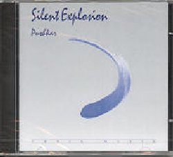 PUSHKAR :  SILENT EXPLOSION  (FONIX MUSIK)

Un viaggio musicale attraverso meravigliose terre fantastiche: melodie gioiose e motivi semplici e leggeri.