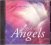 Miles Anthony :  Flight Of Angels  (New World)
