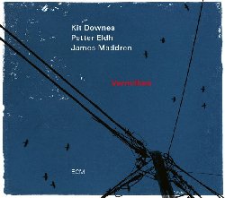 DOWNES KIT / ELDH PETTER / MADDREN JAMES :  VERMILLION  (ECM)

Insieme ai suoi collaboratori di lunga data Petter Eldh (contrabbasso) e James Maddren (batteria'), il musicista inglese Kit Downes (pianoforte) presenta al pubblico il suo nuovo progetto intitolato Vermillion, un disco in cui si trovano in egual misura un delicato lirismo e audaci esplosioni creative. Downes, la cui precedente uscita su Ecm, Dreamlife of Debris, era stata definita dal Bbc Music Magazine un'opera dalla bellezza ultraterrena, ha composto per Vermillion alcuni dei suoi pezzi pi concisi. Con sottili colpi di scena, Downes, Eldh e Maddren offrono la loro versione idiosincratica del formato trio con pianoforte, dando vita ad alterazioni armoniche inaspettate e lampi ritmici che arricchiscono le diverse forme musicali da loro utilizzate. Registrato all'Auditorio Stelio Molo di Lugano, Vermillion  un disco in cui la formazione trio con pianoforte assume connotati artistici molto diversi dal solito, in un'interazione perfetta dei musicisti che esalta la grande immaginazione musicale del leader. Downes ha descritto la sua ultima pubblicazione con queste parole: Questo disco  diverso dai precedenti. Ci siamo spinti verso un'area artistica dove non eravamo mai stati prima, ossia verso un suono pi orientato alla musica da camera. La complessa componente ritmica  mantenuta intatta, ma  avvolta da un'estetica diversa. Con 5 composizioni originali di Downes, 5 di Eldh e Castles Made of Sand di Jimi Hendrix, Vermillion  un album in cui il grande talento dei tre musicisti emerge in tutta la sua purezza, regalando all'ascoltatore un percorso sonoro davvero unico nel suo genere.