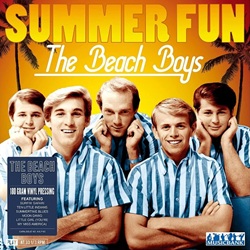 BEACH BOYS :  SUMMER FUN  (MUSICBANK)

Le inconfondibili armonie vocali dei Beach Boys sono fruttate al gruppo un posto d�onore nella storia del rock. Le loro canzoni incarnavano lo spirito e lo stile di vita californiano e per questo sono diventate un�icona americana per il pubblico mondiale. �Summer Fun� propone alcune hit della formazione che hanno conquistato le classifiche e che restano fra i sempreverdi delle radio del pianeta come �Surfin� U.S.A.�, �Surfin� Safari�, �Ten Little Indians� e molti altri classici che facevano urlare e piangere di gioia le orde dei teenagers che negli anni �60 hanno decretato il loro successo.
