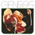Genesis :  Live In Leicester And Manchester 1973  (Radiation Records)