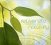 Allen Ron :  Rejuvenate Naturally  (Solitudes)